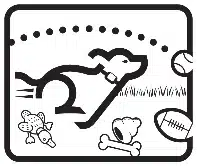 A dog running through the field thanks to a pet fence from Pet Stop Canada.