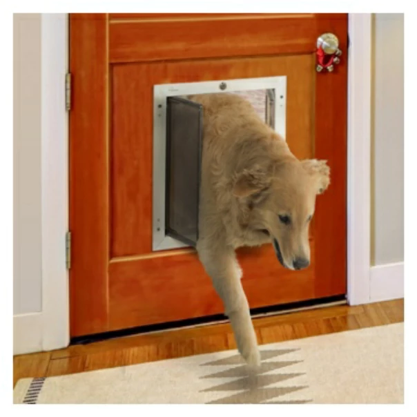Dog using Plexidor Dog Door installed in the wall