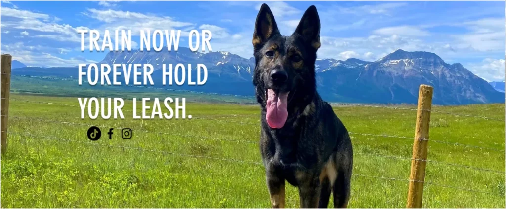 Western Canadian Canine Academy