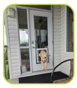 Standard glass door image
